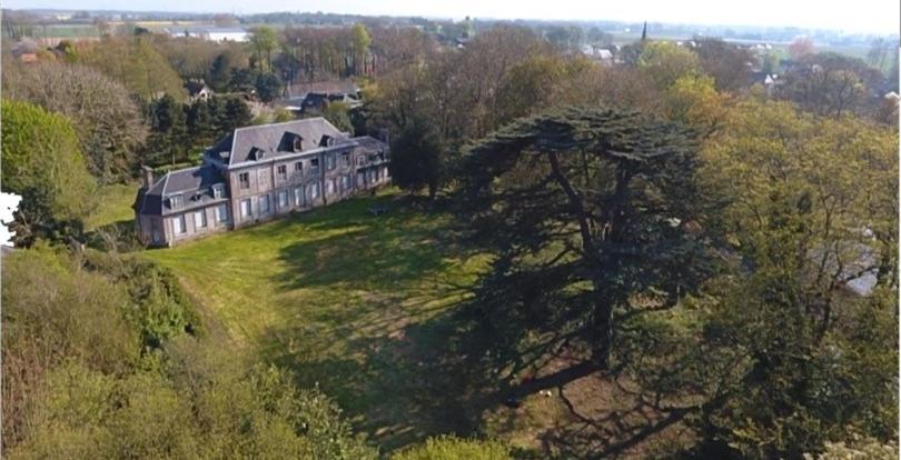 Les Gites Du Chateau Du Cedre Manneville-ès-Plains Exteriör bild